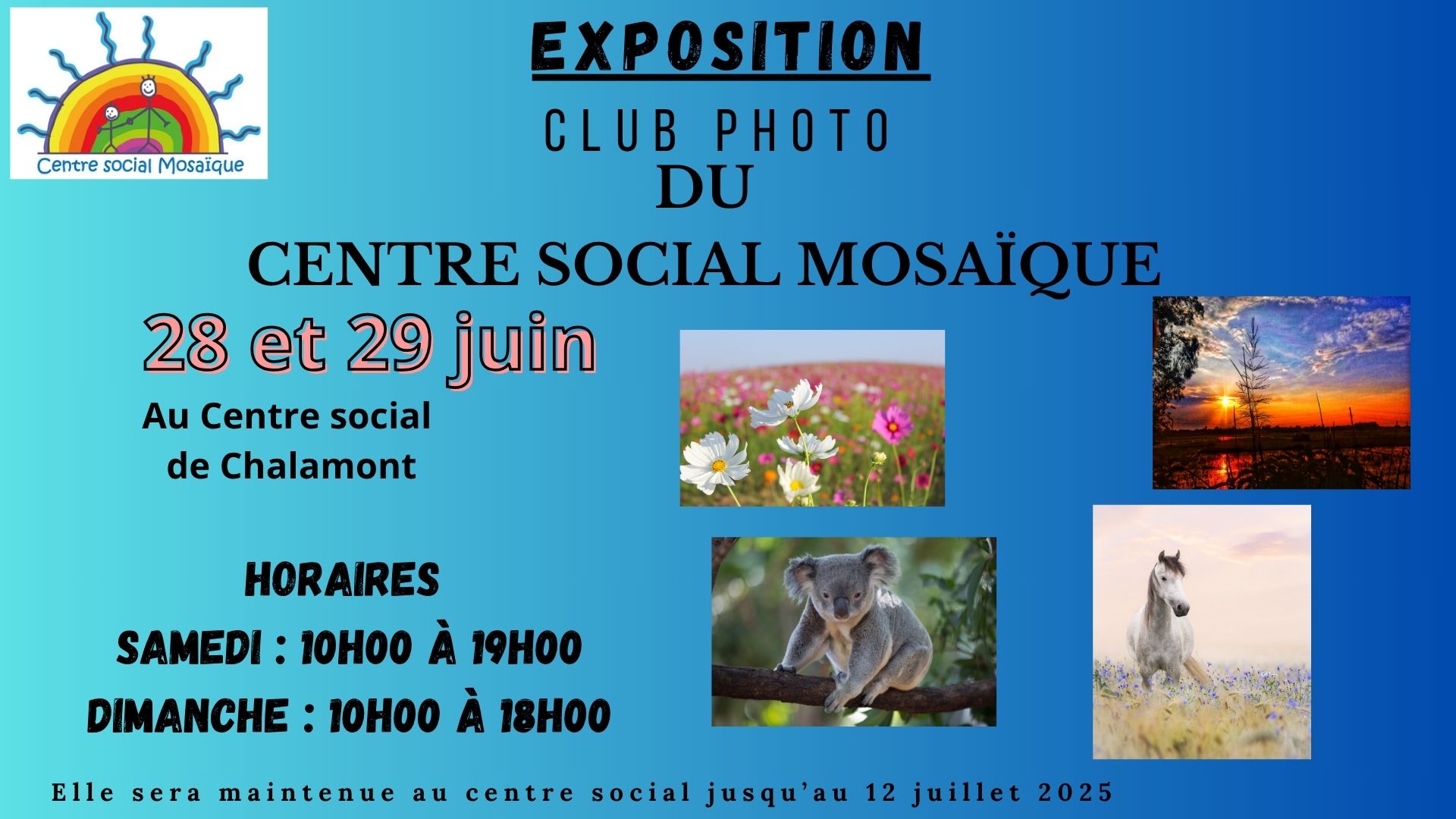 expo photos