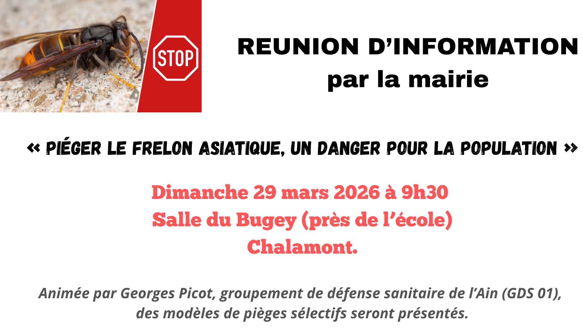 réunions frelons asiatiques